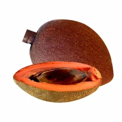 El Zapote de la selva peruana