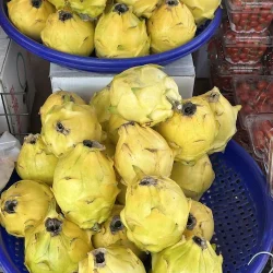 Pitahaya