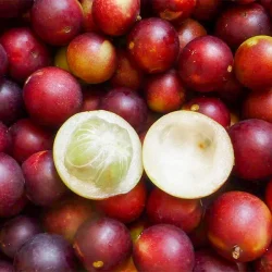 fruta camu camu