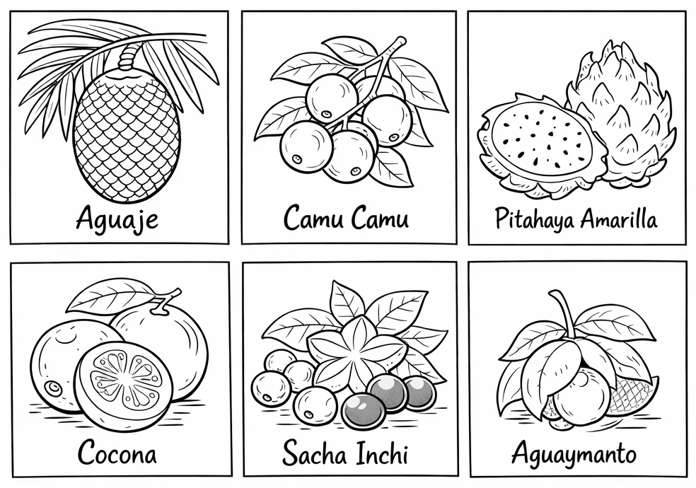 frutas de la selva peruana para colorear